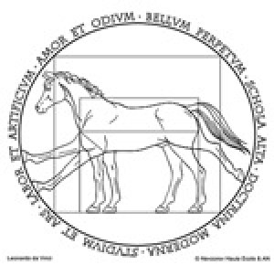 vitruvian-horse.jpg